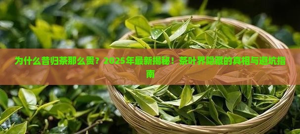 昔归茶为什么那么贵