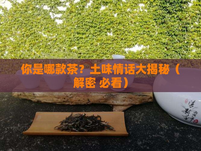 你是什么茶土味情话