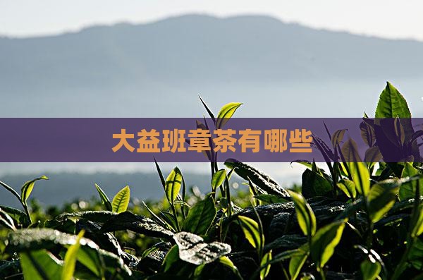 大益班章茶有哪些