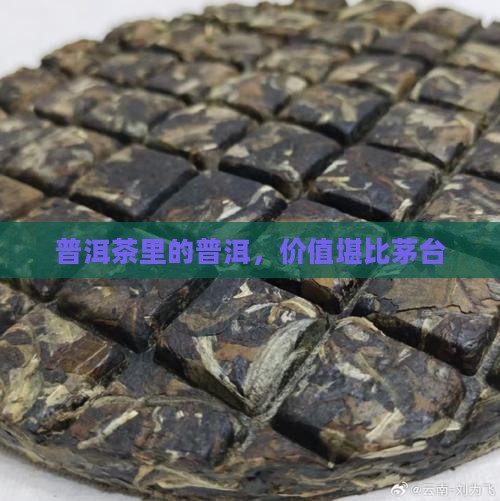 普洱茶里面的茅台