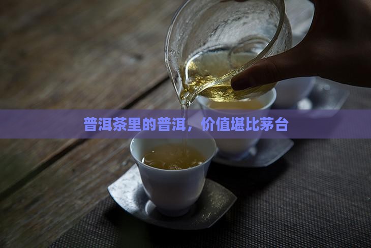 普洱茶里面的茅台