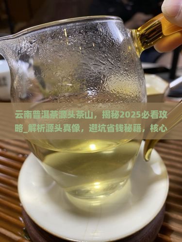 云南普洱茶源头茶山