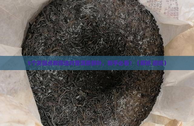 普洱茶鲜叶等级分类表最新