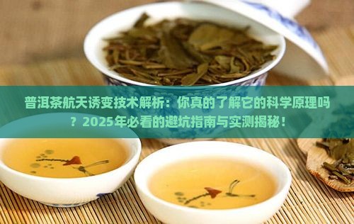 普洱茶航天诱变技术研究