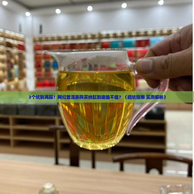 网红普洱茶购买纳缸