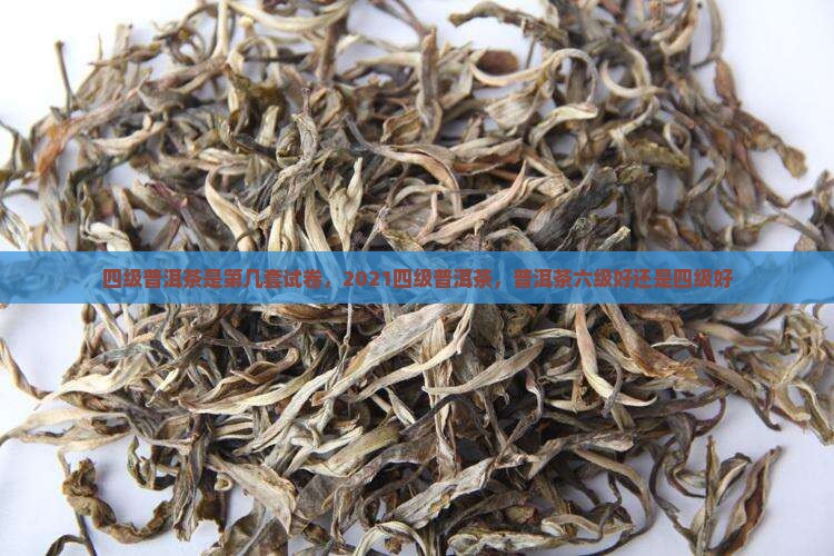 四级普洱茶是第几套