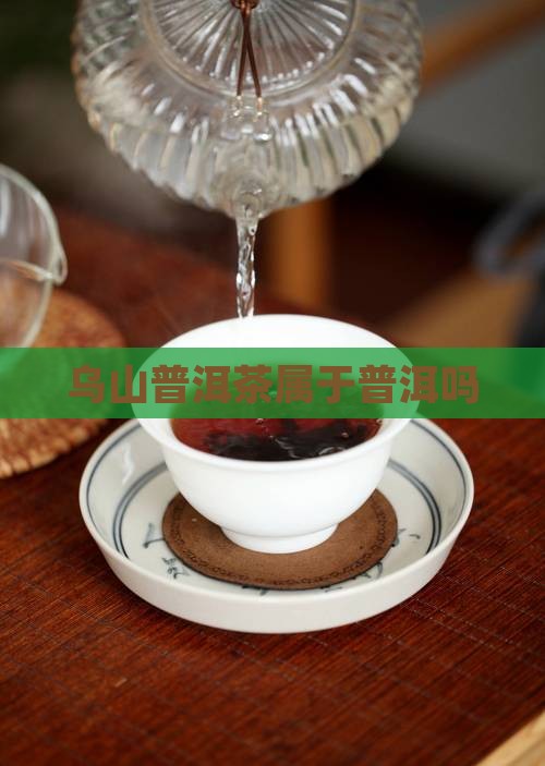 老乌山普洱茶属于哪种