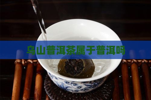 老乌山普洱茶属于哪种