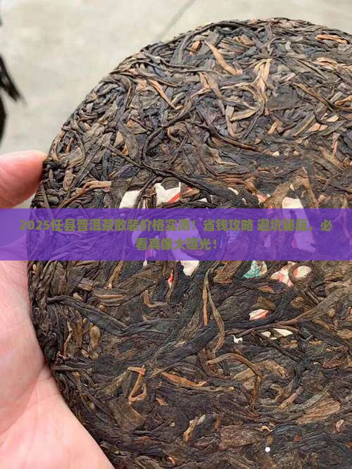 任县普洱茶散装价格