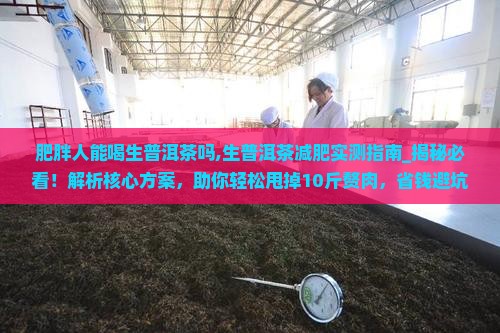 肥胖人能喝生普洱茶吗