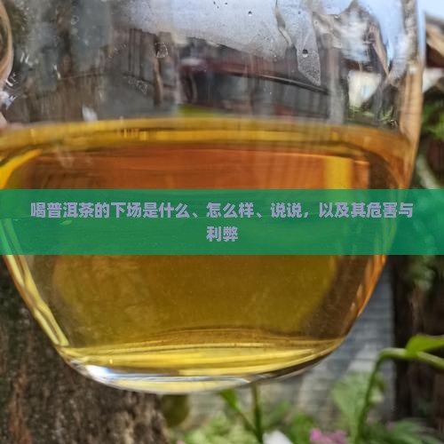 喝普洱茶的下场