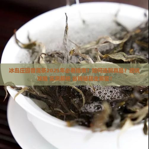 冰岛庄园普洱茶推荐款