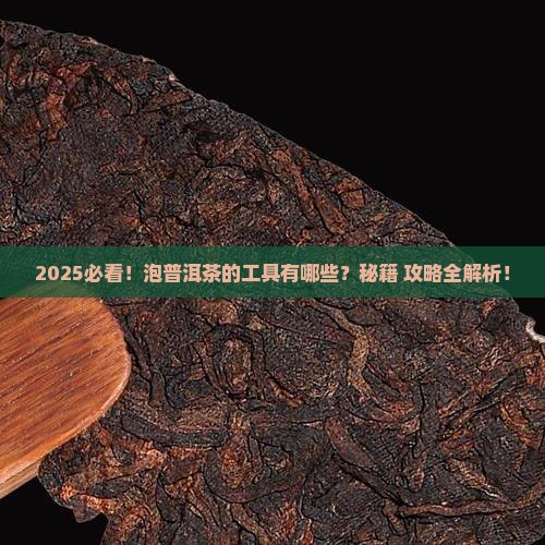 泡普洱茶的工具有哪些