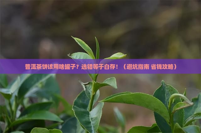 普洱茶饼用什么茶叶罐