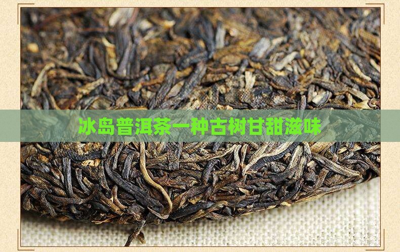 甘甜冰岛允榕世芳古茶
