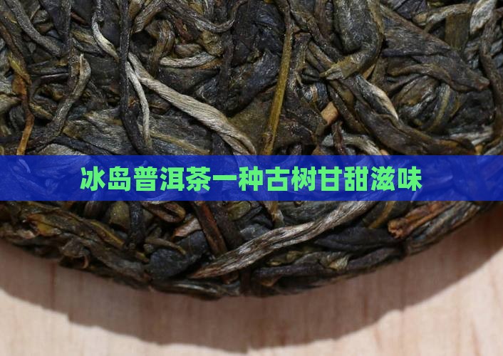 甘甜冰岛允榕世芳古茶