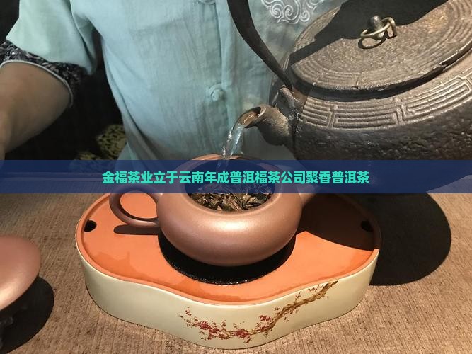 金福茶业福园聚香普洱茶
