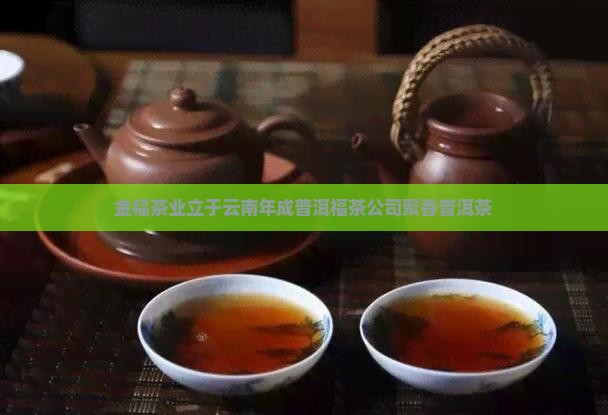 金福茶业福园聚香普洱茶
