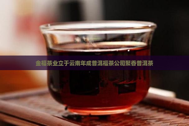 金福茶业福园聚香普洱茶