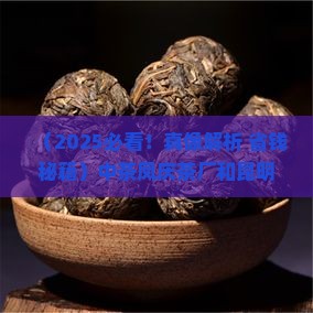 中茶凤庆茶厂和昆明茶厂