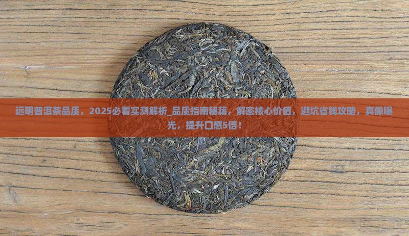 远明普洱茶品质