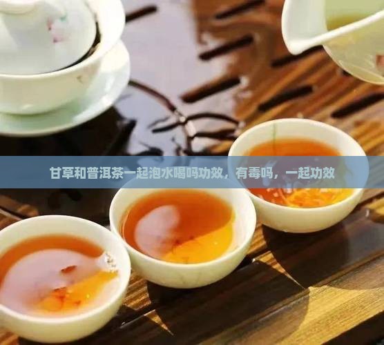 甘草和普洱茶一起泡水喝吗