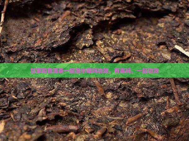 甘草和普洱茶一起泡水喝吗