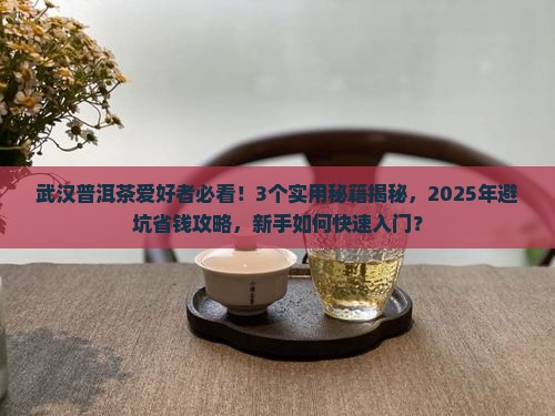 武汉普洱茶交流吧