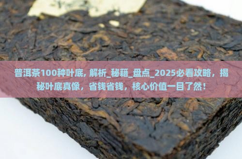 普洱茶100种叶底