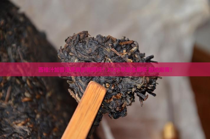 西柚汁加普洱茶的功效与禁忌