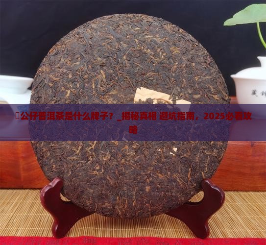 孖公仔普洱茶是什么牌子