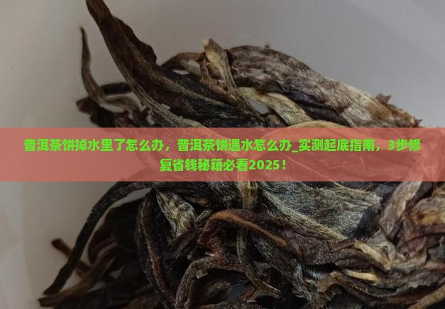 普洱茶饼掉水里了怎么办 普洱茶饼掉水里了怎么办