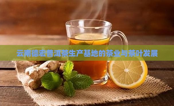 云南德宏普洱茶生产基地
