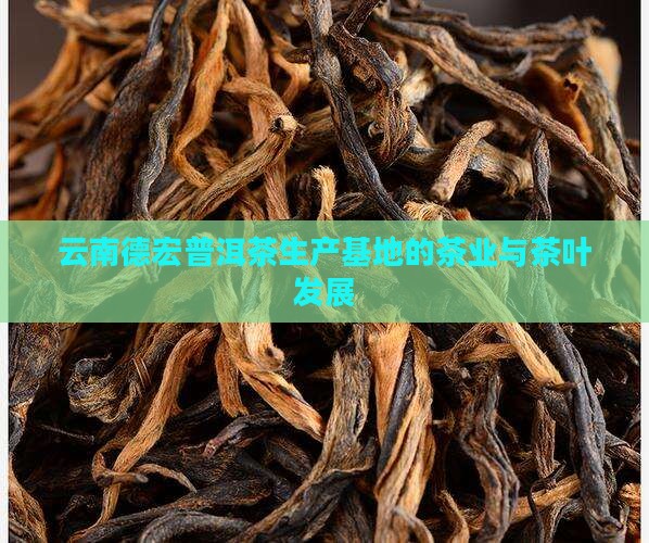 云南德宏普洱茶生产基地