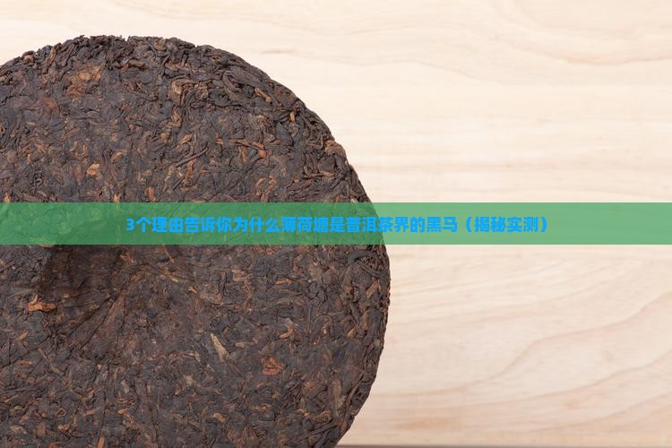 薄荷塘是什么普洱茶品牌
