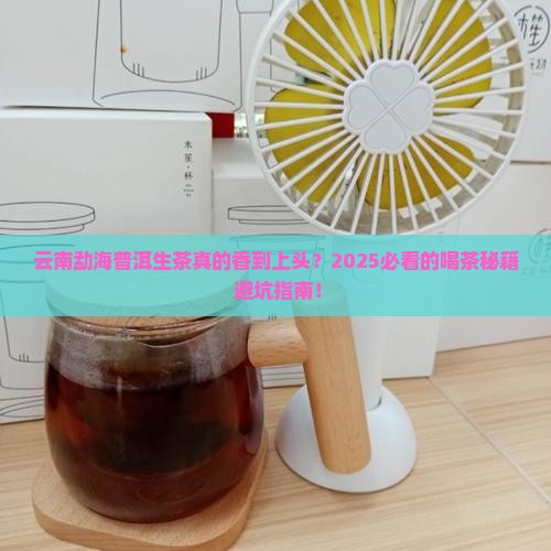 云南勐海普洱生茶怎么样