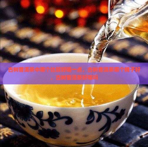 古树普洱茶中哪个比较好喝