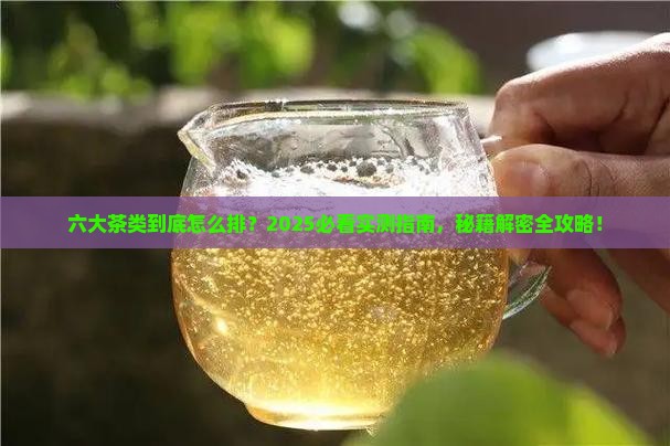 六大茶类的排序