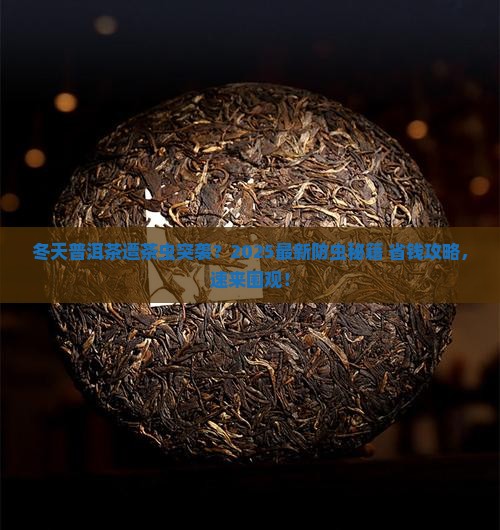 普洱茶冬天怎么防止长茶虫
