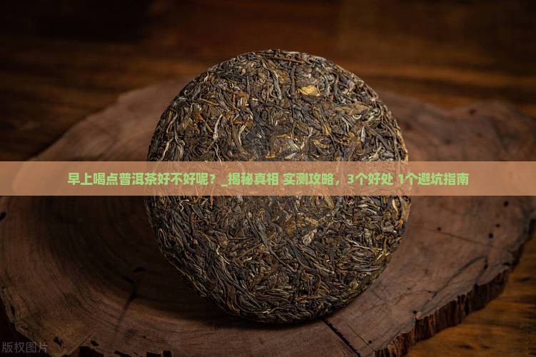 早上喝点普洱茶好不好呢
