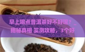 早上喝点普洱茶好不好呢