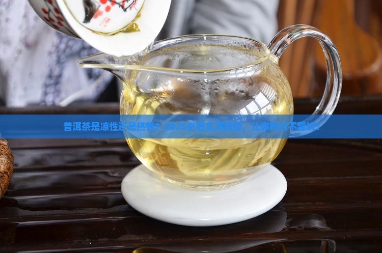 普洱茶属凉性热性