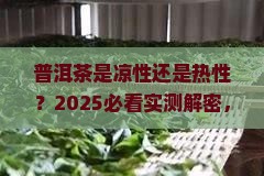 普洱茶属凉性热性