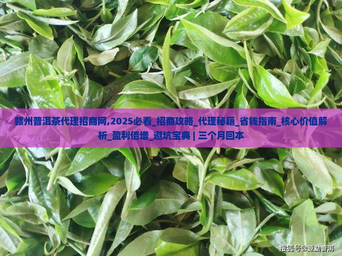 赣州普洱茶代理招商网