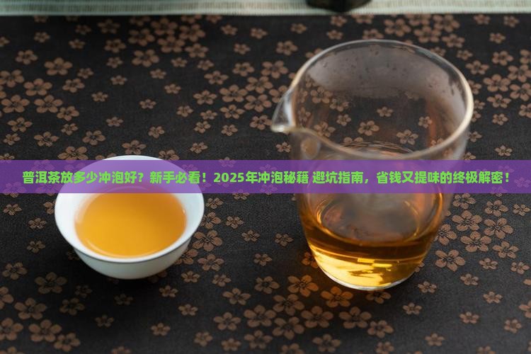 普洱茶放多少冲泡好