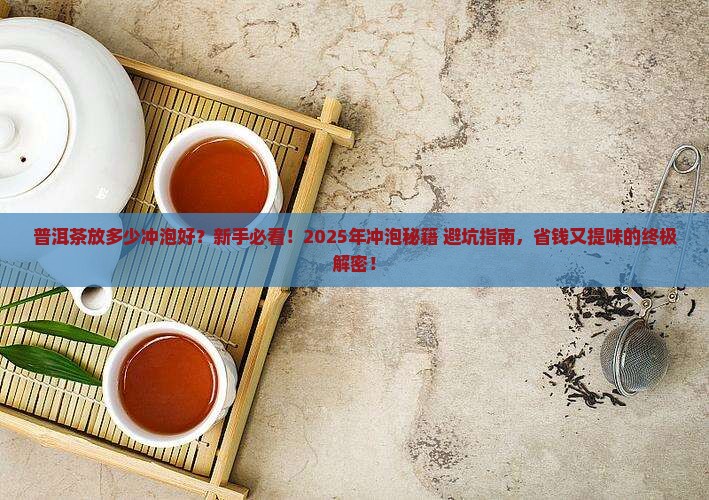 普洱茶放多少冲泡好