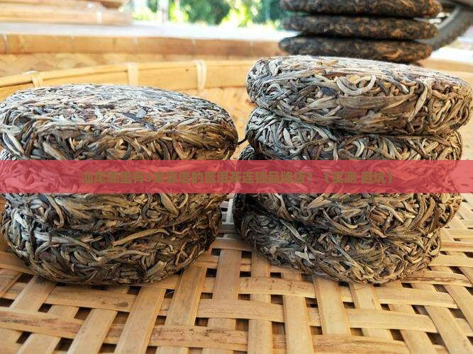 汕尾普洱茶连锁品牌店在哪里