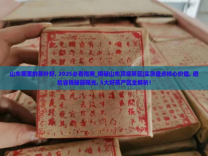 山东哪里的茶叶好
