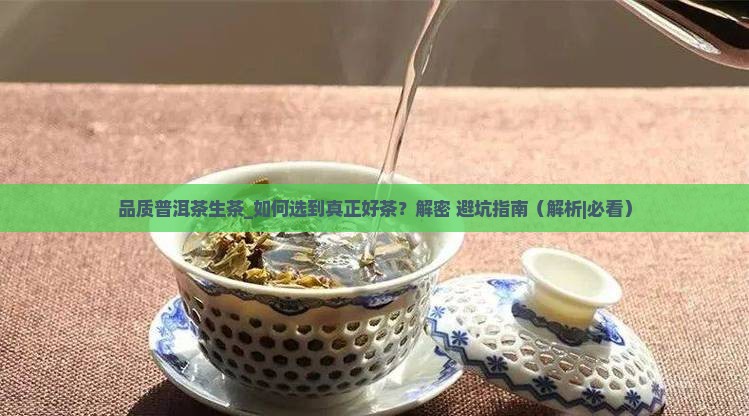 品质普洱茶生茶