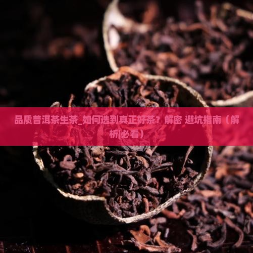 品质普洱茶生茶